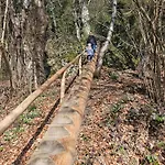 Alp-juwel - Mit Hallenbad Und Sauna, 4 Schlafbereiche, Hallenbad, Sauna, Inklusive Bettwaesche, Handtuecher, Tolle Kinderausstattung Missen-Wilhams